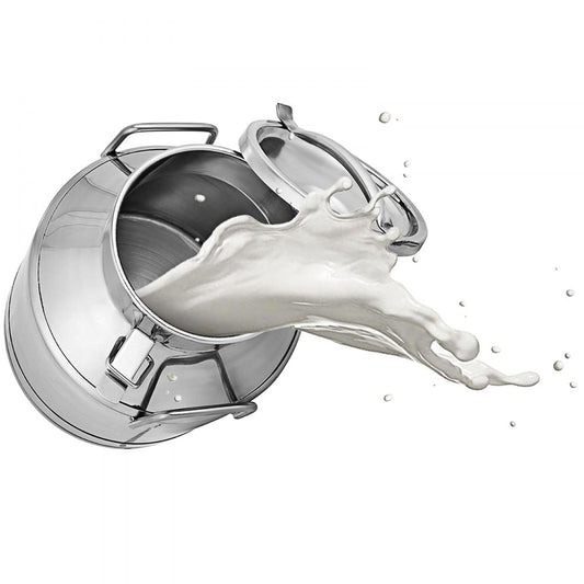 010847612051 - 20L 304 Stainless Steel Milk Can with Airtight Lid
