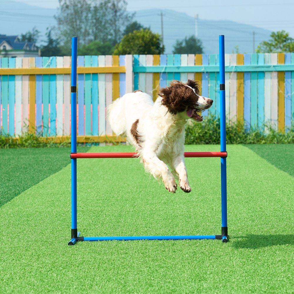 HC-ZAG06 - Upgrade Your Dog's Agility: 4-Piece Training Set with Hurdles