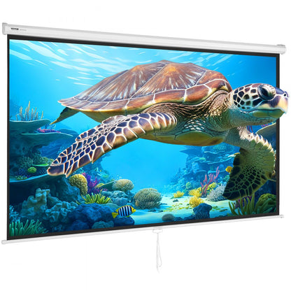 TL-100S-A - 100" Portable Manual Projector Screen for Outdoor Movies