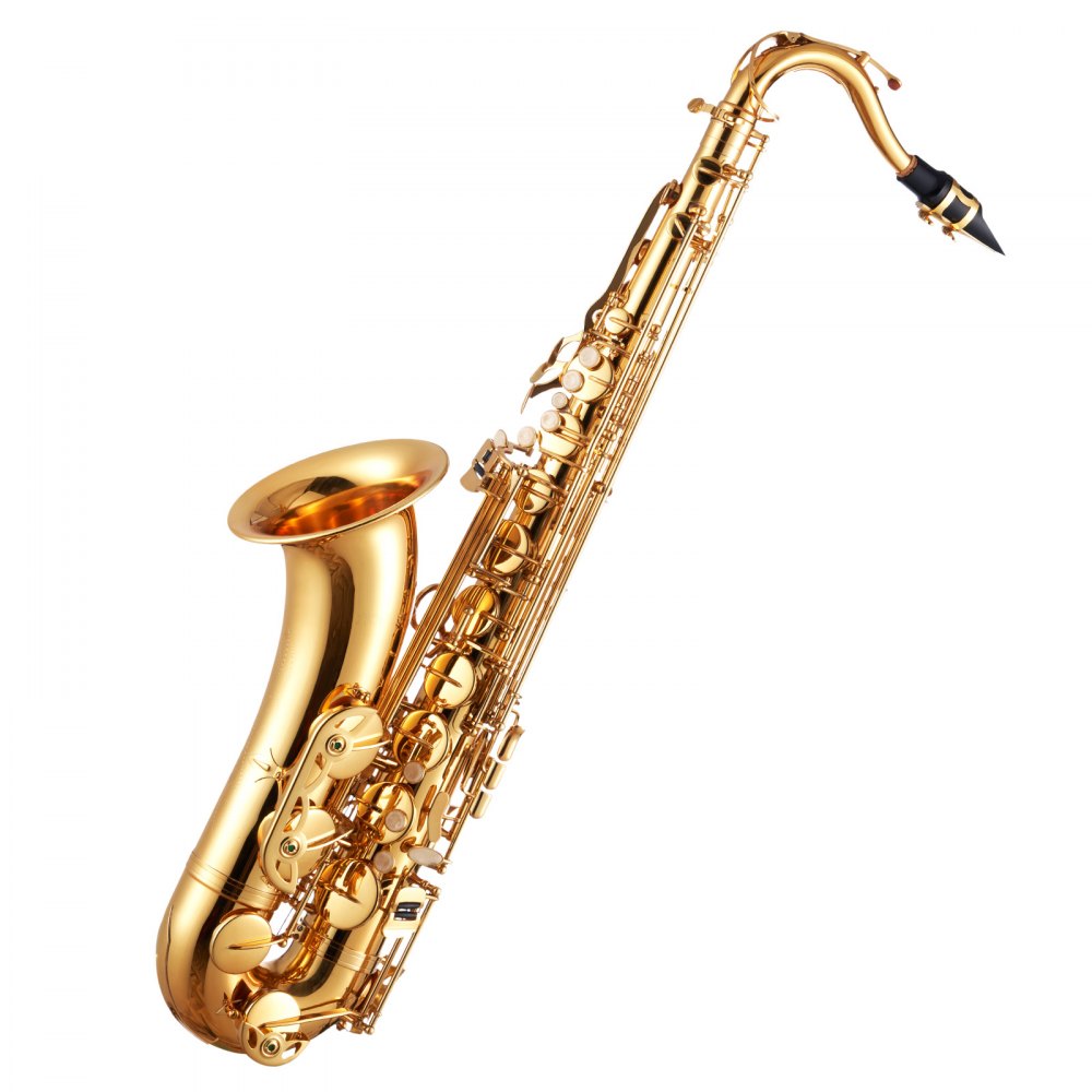 JTAS－401 - B Flat Tenor Saxophone Beginner Kit with Case & Accessories