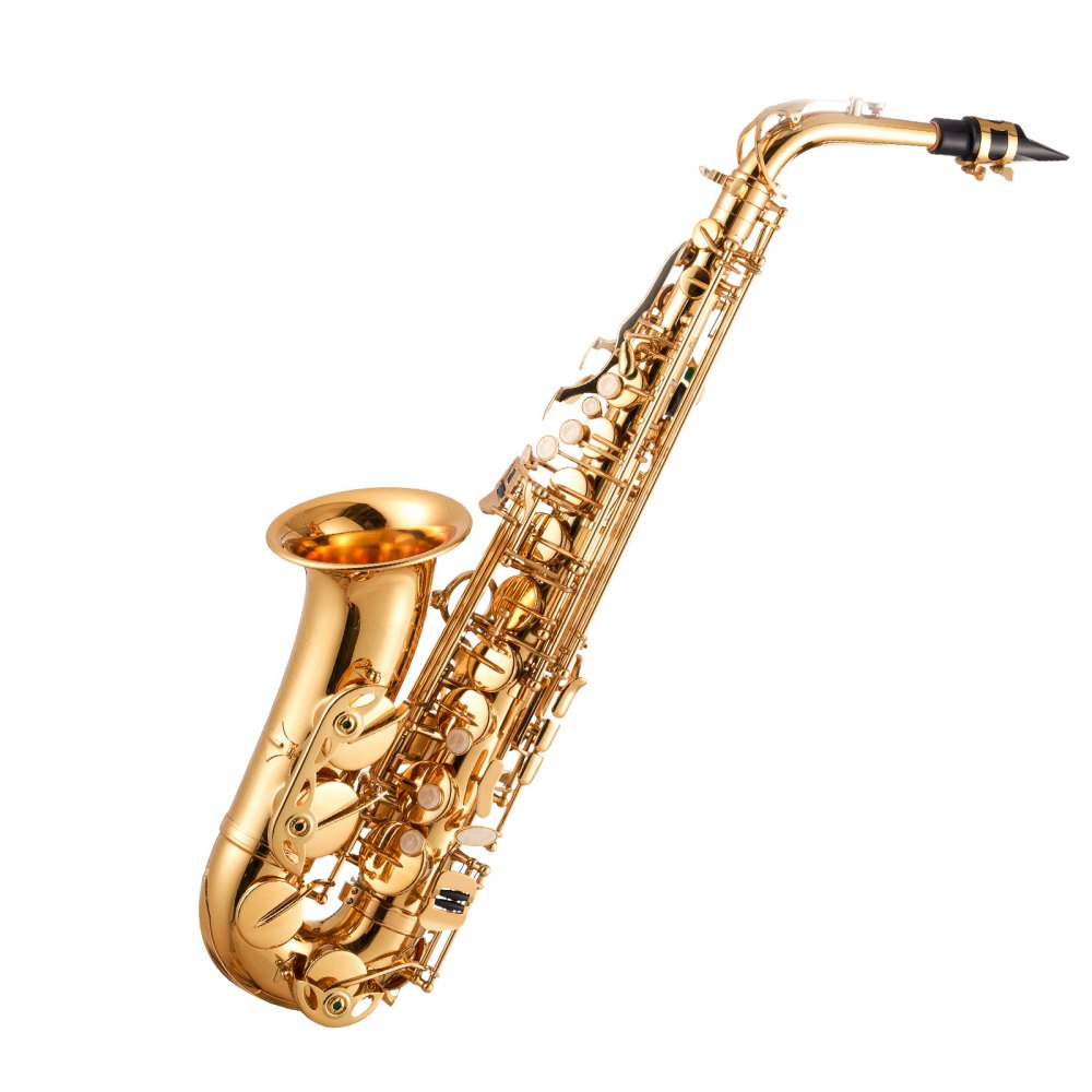 JAS-201 - E Flat Alto Saxophone Kit for Beginners with Case and Accessories