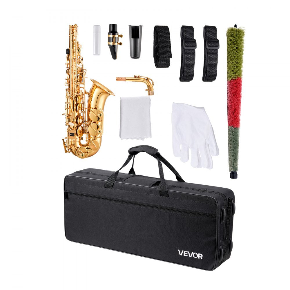 JAS-201 - E Flat Alto Saxophone Kit for Beginners with Case and Accessories