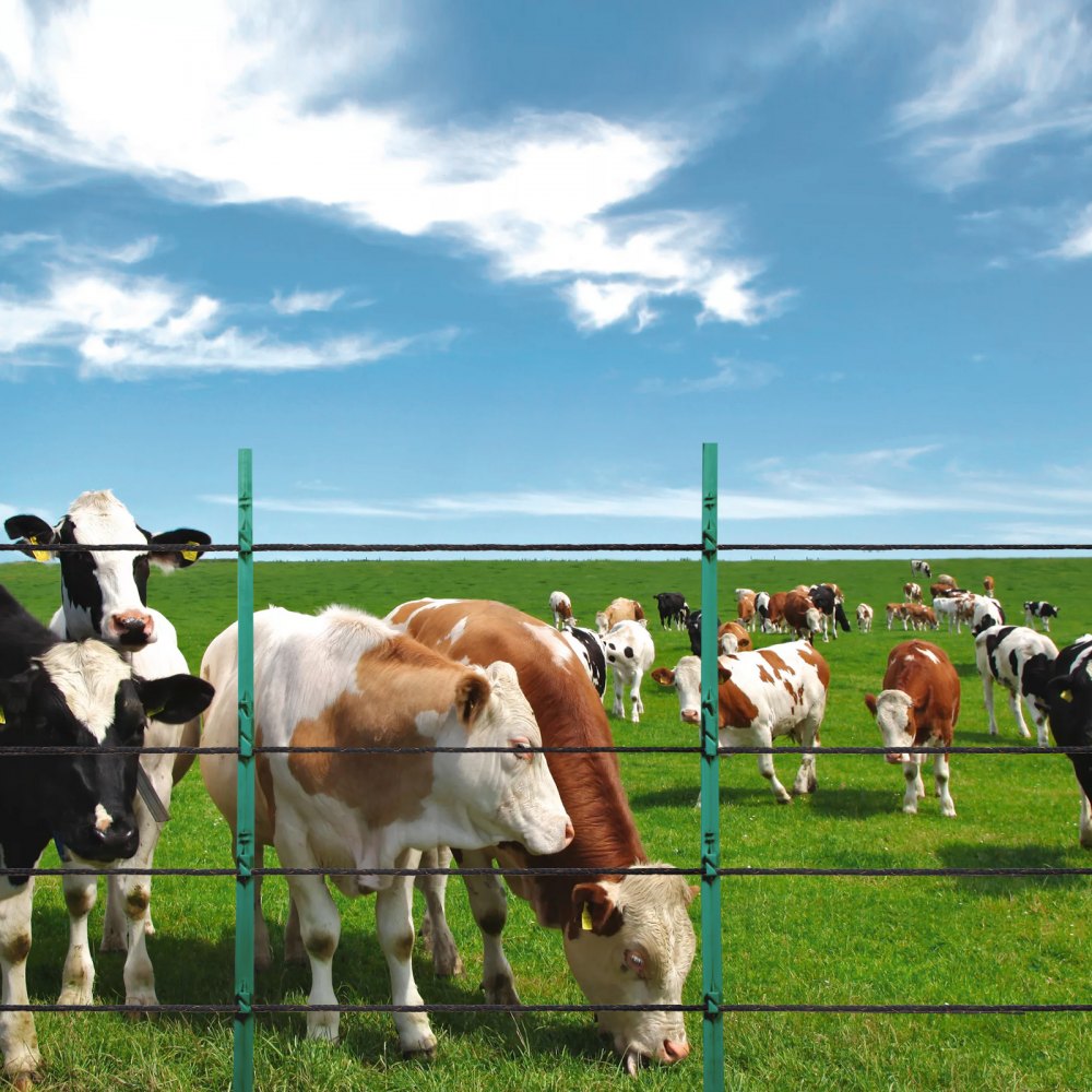 HTSS1 - 1000ft High Tensile Electric Fence Wire with UV Resistance