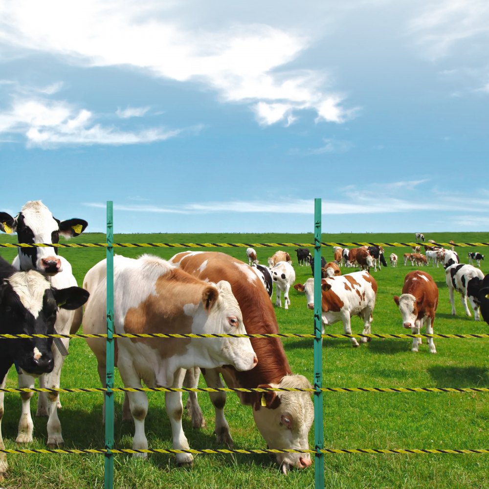 HTSS2 - 1640ft High-Visibility Electric Fence Wire for Livestock Protection