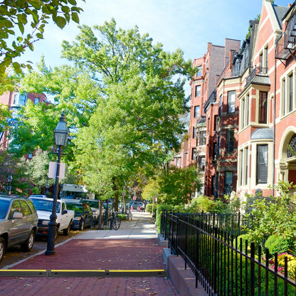 CP-1EV-4(7511001) - Durable 39in Cable Protector Ramp for Vehicles