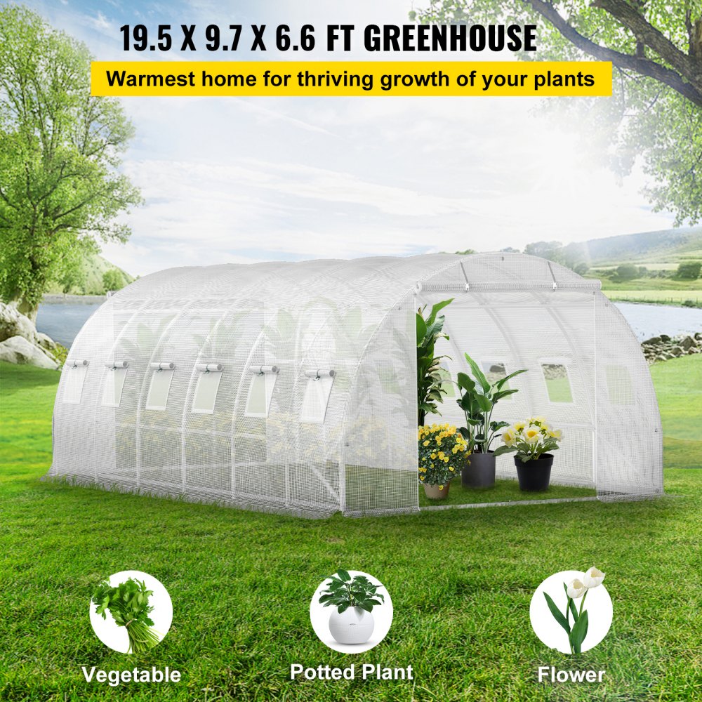 VV-TG-12107WHITE - 20x10ft Portable Greenhouse with Galvanized Steel Structure