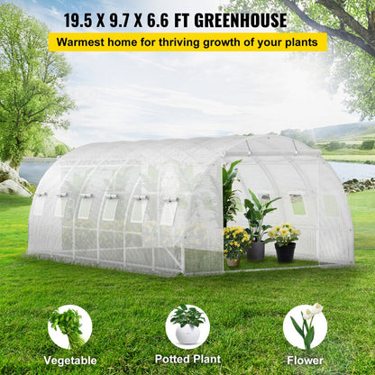 VV-TG-12107WHITE - 20x10ft Portable Greenhouse with Galvanized Steel Structure