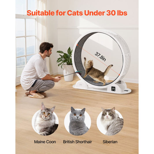 RK38 - 40.8" Smart Cat Exercise Wheel with Pedometer & Pet Bed Function