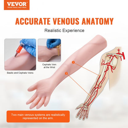 LD-HS2 - Realistic VEVOR Phlebotomy Practice Arm for Venipuncture Training