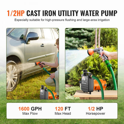 Q1CZ-800C - Durable Cast Iron Pump, 1600 GPH, 120 ft Lift Capacity