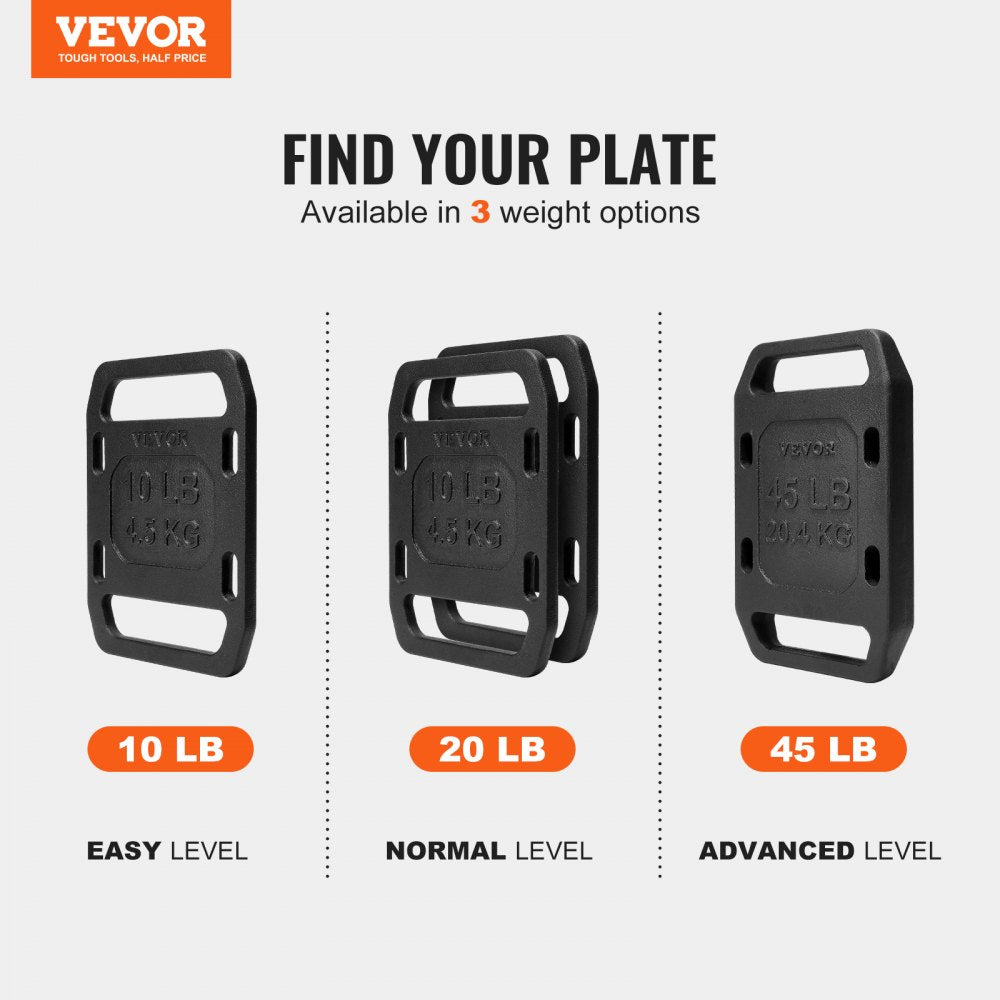 LY-10LBS - 10LB Cast Iron Ruck Plates with Secure Grip Handle