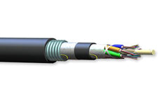 Corning 012TU5-T4131A20 12 Fiber 50 µm Multimode Altos Double Jacket Single Armored Cable