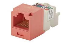 Panduit CJ688TPOR Category 6 Mini-Com TX6 Plus UTP Jack Module Orange