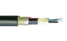 Belden FDXH0965G 96 Double Jacket Single Armored Indoor/Outdoor Loose Tube Cable