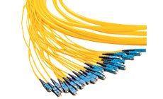 Belden FIxM012P2 12* Fiber Express µMini-Distribution Non-Armored Fiber Optic Cable